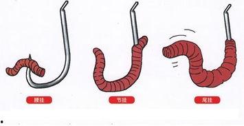 农村人用蚯蚓钓鱼视频,农村人的传统智慧与自然和谐共处