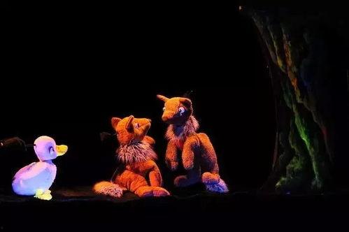 狐狸孵蛋视频,揭秘神秘动物孵化蛋的温馨瞬间